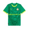 Maillot de Foot Sénégal Extérieur 2025